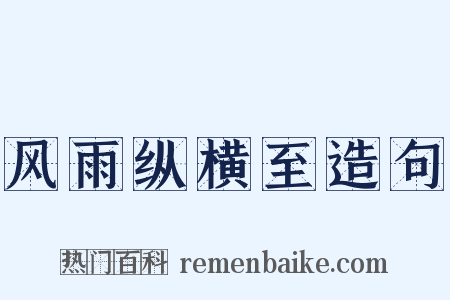 风雨纵横至造句是什么意思的图片